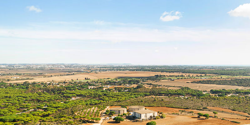 Service Image